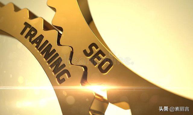 SEO 基础教程：为初学者提供循序渐进的指导 (seo基础教程之seo)