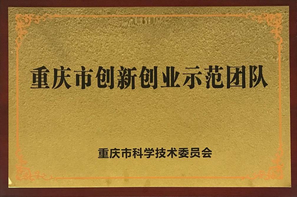 重庆SEO专家为您提供定制的搜索引擎优化解决方案，助力您的业务蓬勃发展 (重庆 seo)