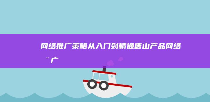 网络推广策略：从入门到精通 (唐山产品网络推广策略)