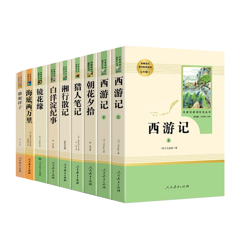 初学者必备：公司网站创建的全面指南 (初学者必备的插花基础)