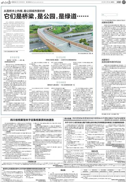 成都一流的网站建设服务：多享网站建设公司引领数字变革 (成都一流的网红有哪些)