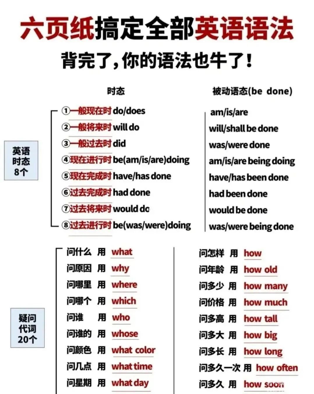 零基础入门：一步一步教你打造一个令人惊叹的网站 (零基础入门瑜伽怎么学)