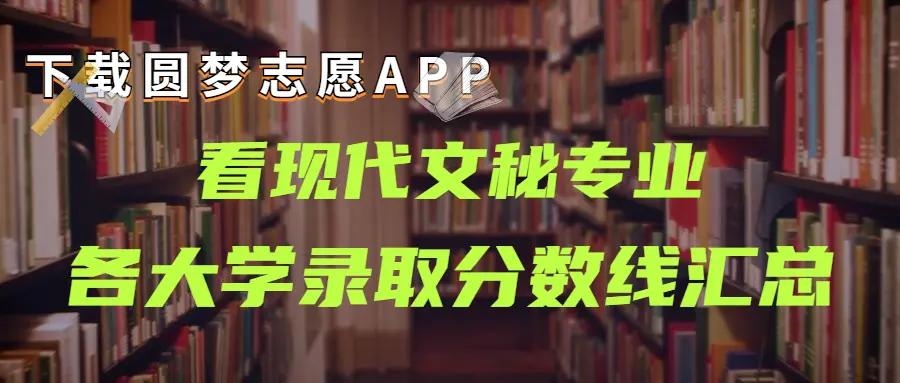 揭秘顶级专业网站建设公司：满足您的数字化需求 (专业顶尖)