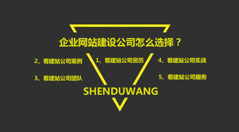 企业网站打造：提升品牌影响力，拓展业务蓝图 (企业网站打造流程)