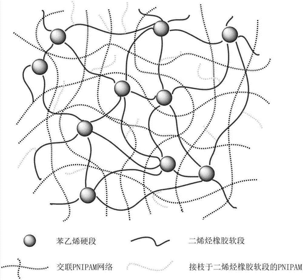 聚名网：网络品牌建设专家，为企业提供一站式解决方案，引领数字化转型之路 (聚名网登录)