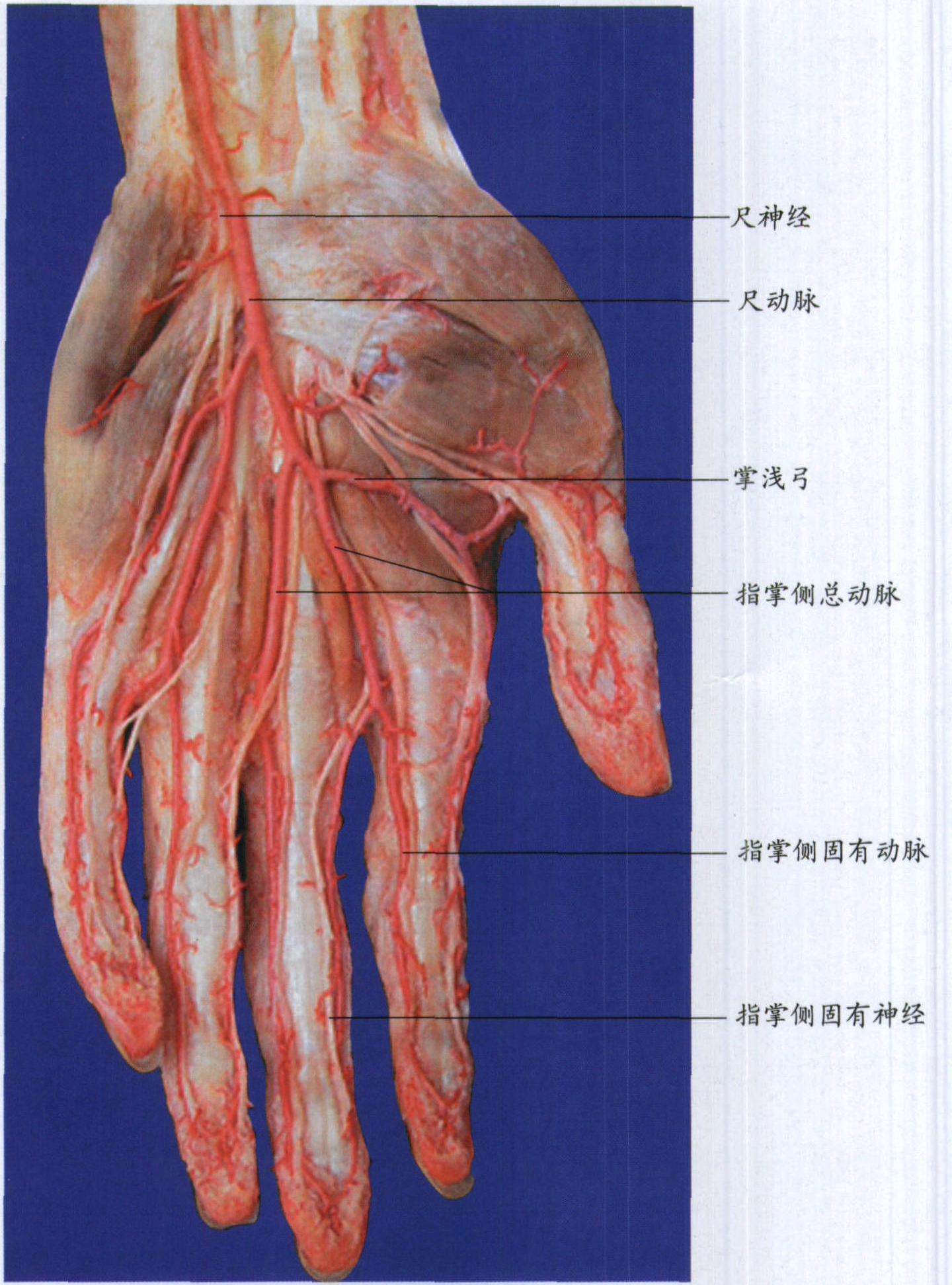 深入浅出：掌握基本网页制作原则，打造卓越在线体验 (深入浅出fm)