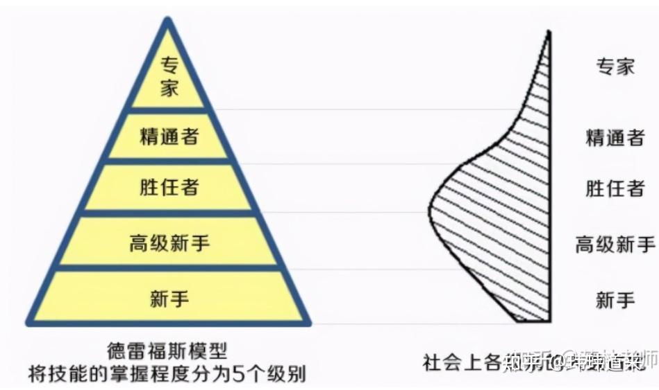 从新手到专家：全面的网站搭建教程 (从新手到专家的五个阶段)