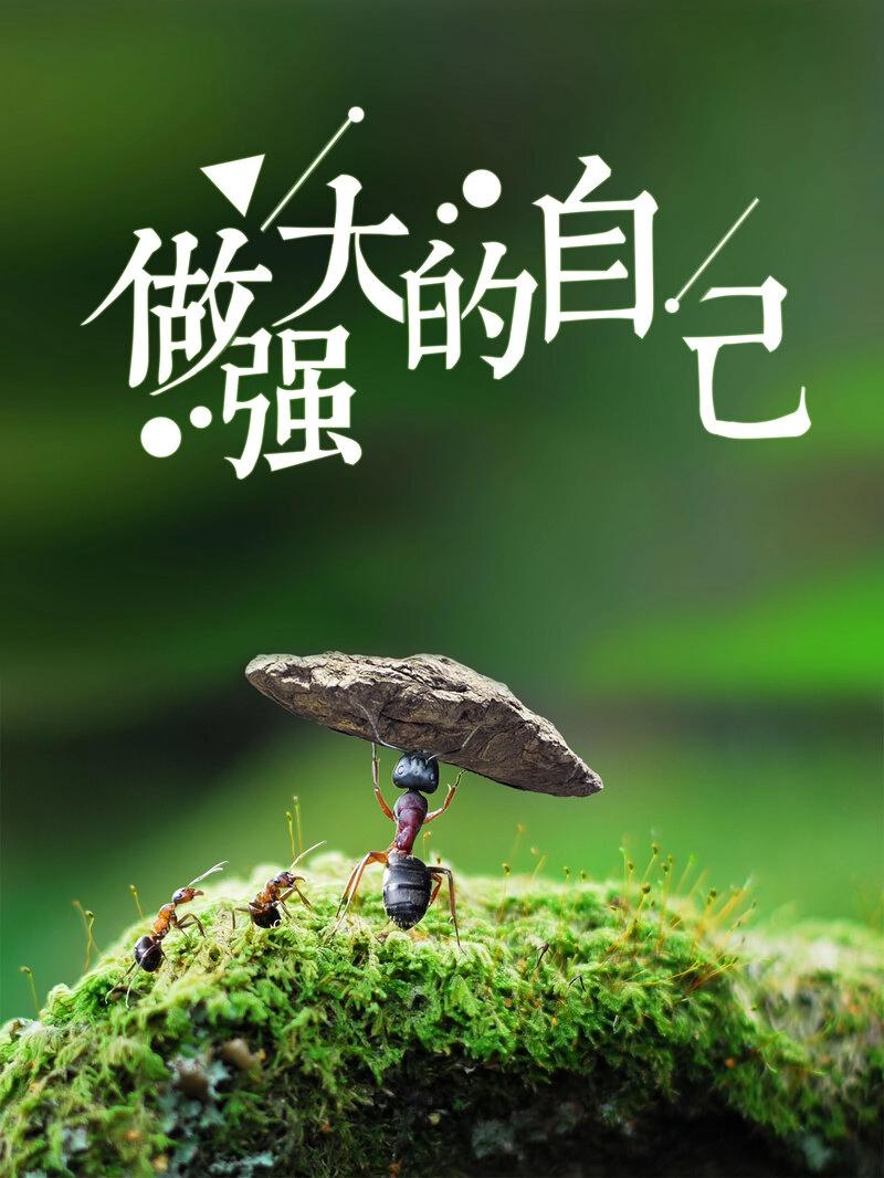 打造您的在线形象：了解网站创建的综合成本 (为您打造)