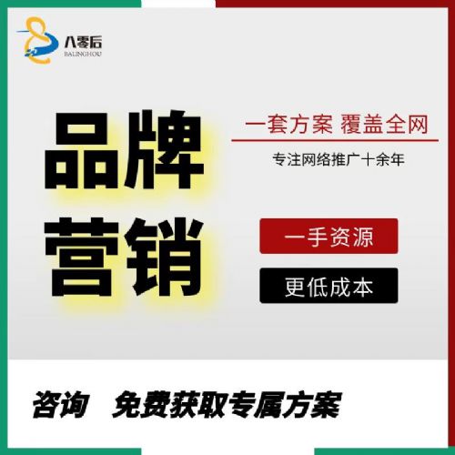 网络形象打造：从构思到发布的官方网站创建指南 (网络形象打造方案)