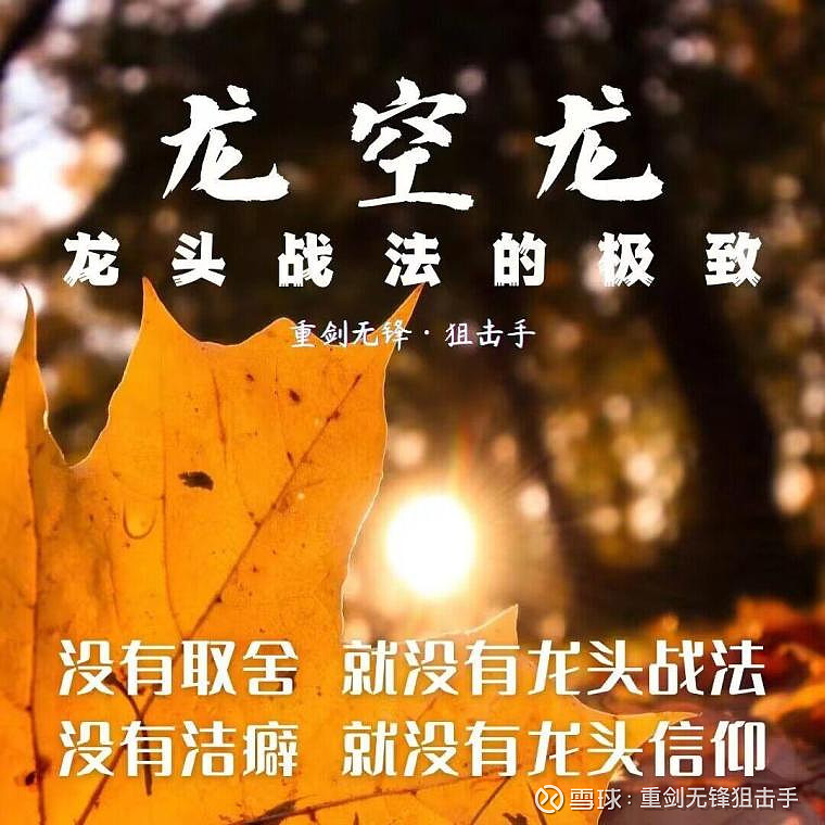 旺道：释放您网站流量潜能的排名优化密钥