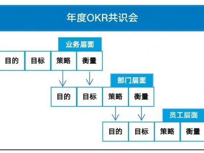 掌握构建卓越公司网站的全面指南 (构建卓越理论主要依赖)