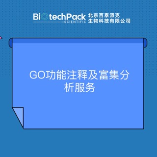 剖析 Google 关键词优化：一步一步指南，以提升网站性能 (剖析工作中存在的问题)