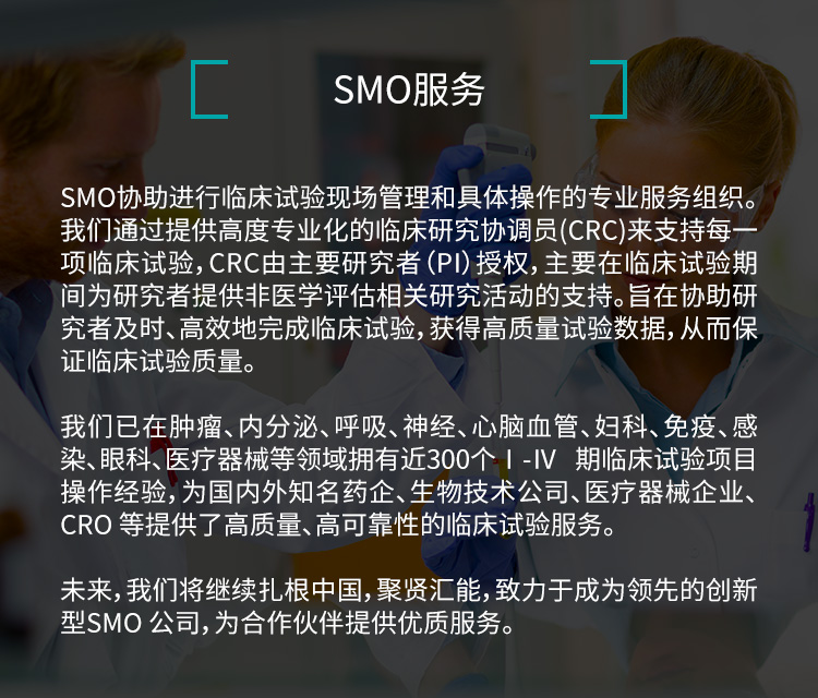 掌握 SMO 优化策略：以数据驱动的方式提升网站能见度和转化率 (掌握掌握)