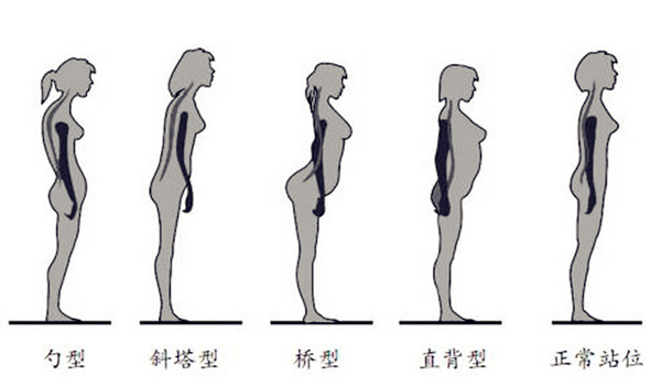 掌握整站 SEO 的艺术：从内容优化到技术实现 (把握站位)