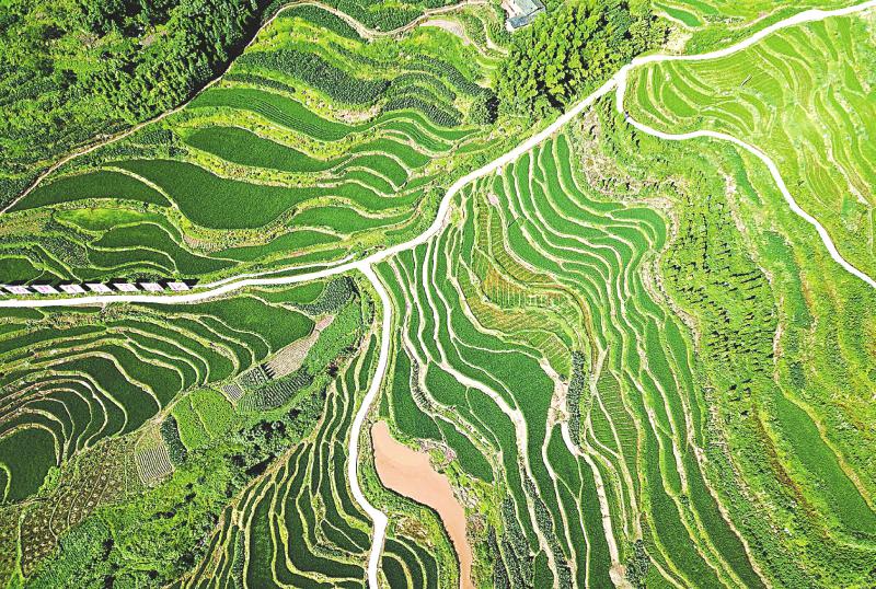 优化你的四川网站：提升本地搜索排名的终极指南 (四川优化公司)