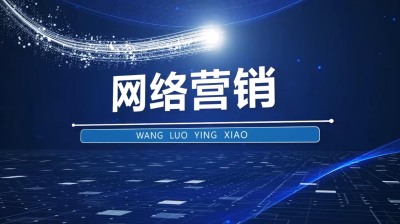 揭开网络营销的面纱：SEO行业在数字时代中的关键作用 (揭开网络营销之谜)