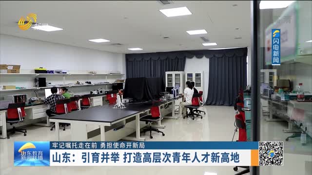 掌握山东SEO策略，引领网站流量飙升 (掌握山东高考志愿填报规则,助你成功填志愿)