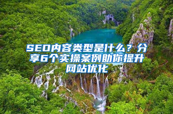 SEO 案例研究深度解析：从失败中学到的宝贵经验 (seo案例模板)