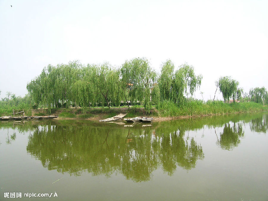 淄博本地SEO策略：为您的企业带来本地客户 (淄博本地酸奶)