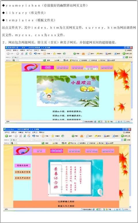 网站报告编写指南