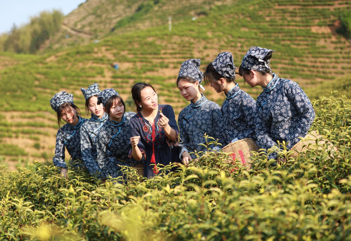 让您的江西网站脱颖而出：全面的优化指南 (江西网址大全)