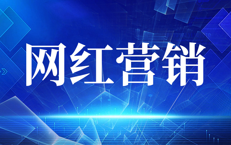 社交媒体营销指南：利用各大平台提升品牌影响力并建立忠实客户群 (社交媒体营销策略有哪些)