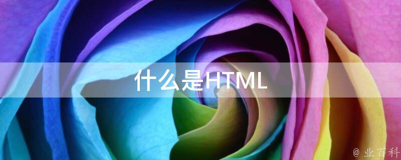 利用 HTML 网页模板释放您的设计潜力：为各种目的创建令人惊叹的网站 (利用html语言编写网页)