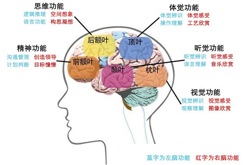 解锁学习潜能：投入持续进修计划 (潜力解锁)