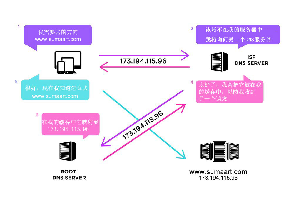 网络建网站指南：从初学者到专业人士的终极教程 (网络建网站指什么意思)