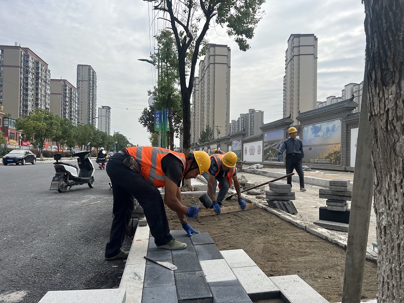 揭开建站成本之谜：搭建网站所需的全面指南 (建站项目)