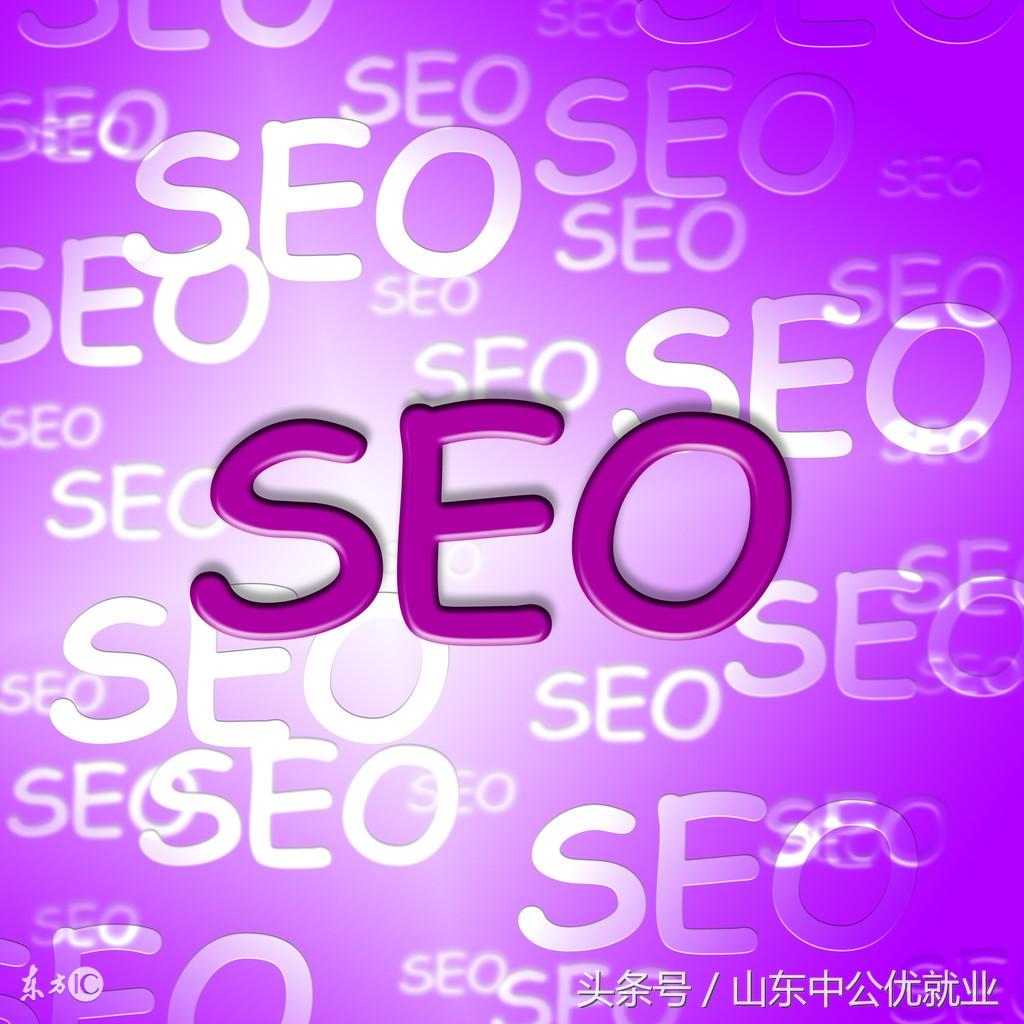 SEO 优化：提升网站可见度和流量的终极指南 (seo优话)