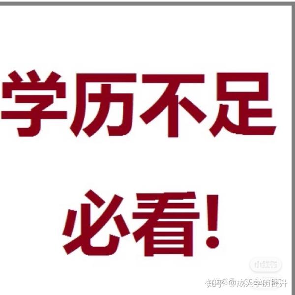 从初学者到专家：逐步掌握网站优化技术以提高您的在线影响力 (从初学者到专家的典型工作任务包括)