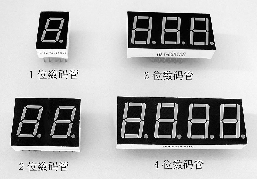 开启您的数字之旅：从头开始逐步开发网站 (请打开数字密码)