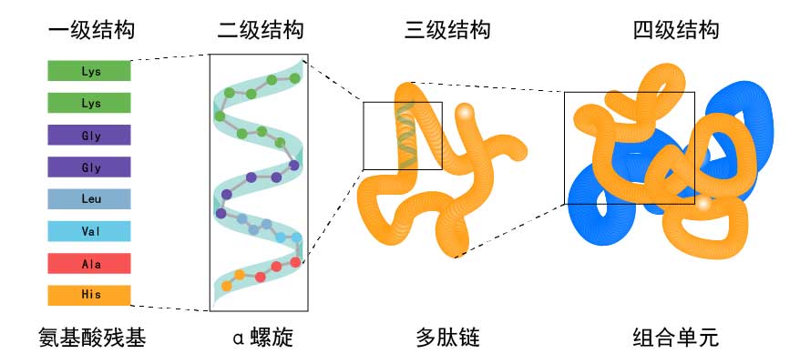 阶段 1：基础HTML 基础知识