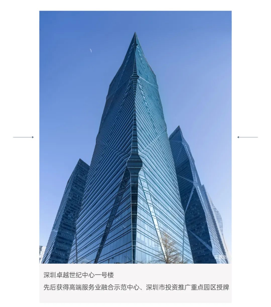 深圳卓越高端网站建设：带动您的业务走向成功 (深圳卓越高端名犬)