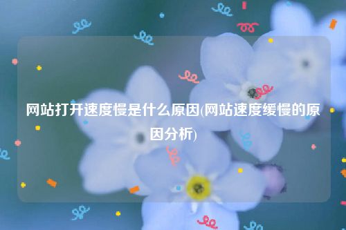 网站打开速度优化：全面指南 (网站打开速度检测)