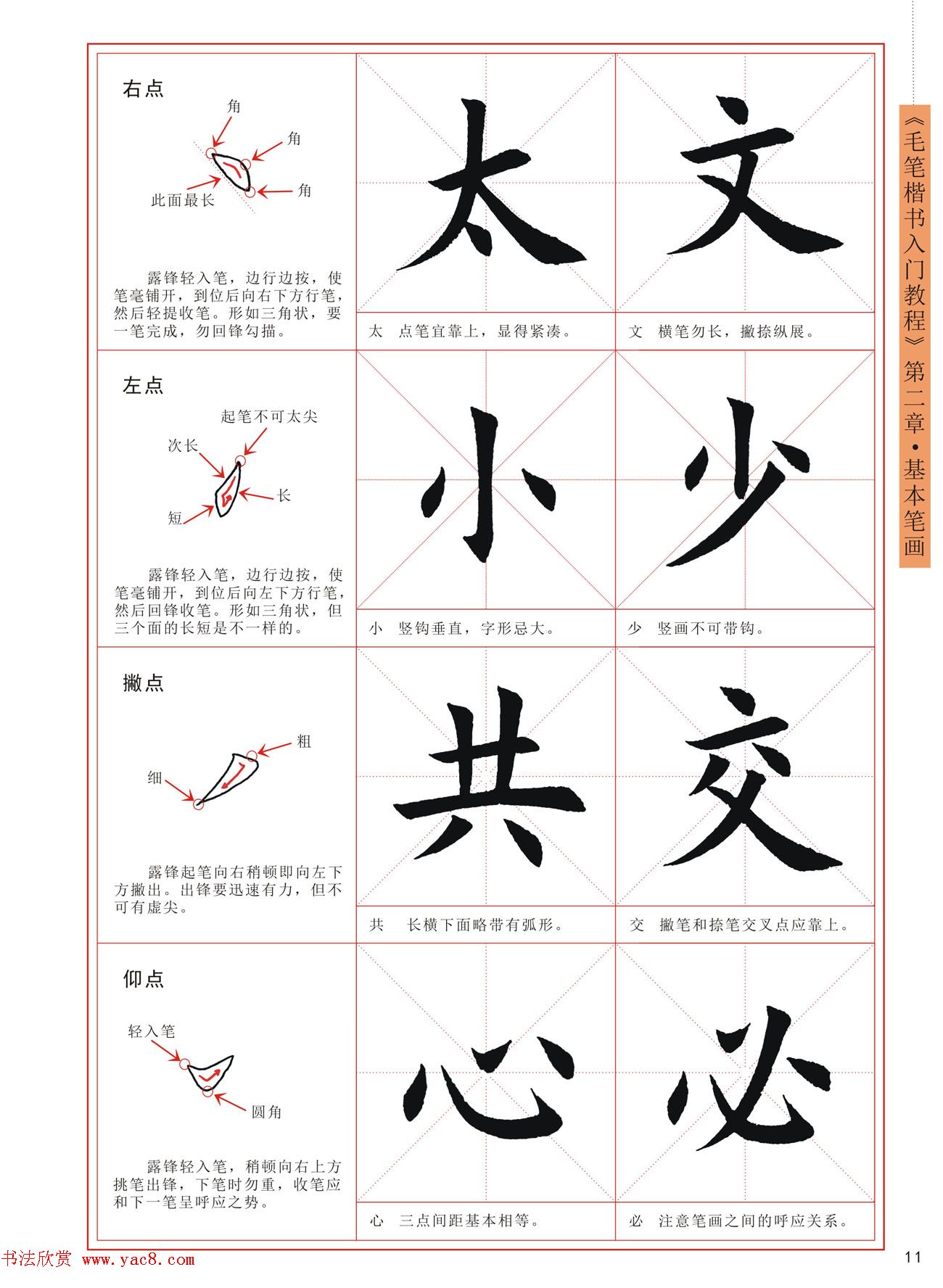 初学者指南：如何使用 HTML 和 CSS 制作功能齐全的网页 (初学者指南)