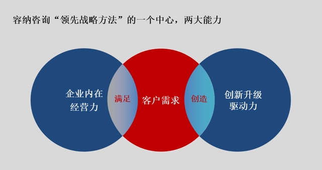 全面了解领先的网站推广服务，提升您的在线影响力 (全面了解领先者的例子)