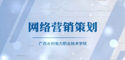 网络营销策略与战术：一份全面的网络推广策划书，助力您提升在线影响力 (网络营销策略有哪些)