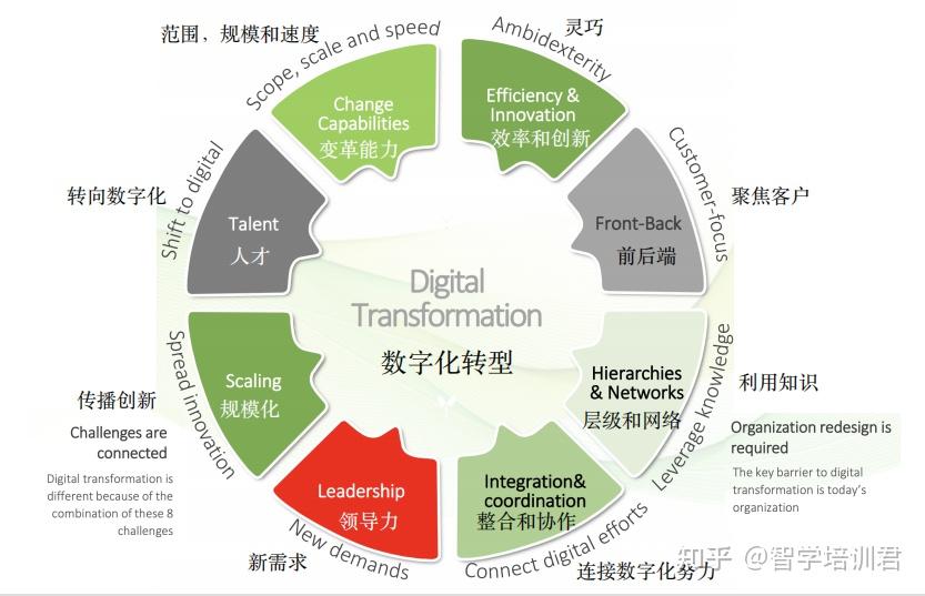 引领数字时代：海南网络推广的战略举措 (引领数字时代,共筑青年梦想)