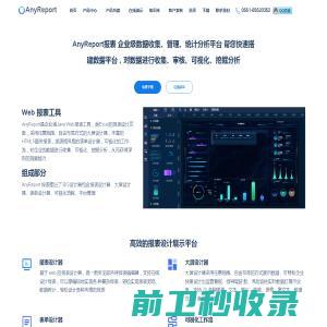 专业Web报表系统