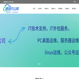 武汉IT公司