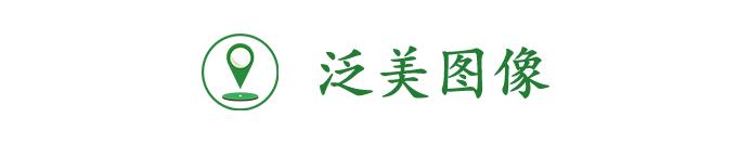 深圳市泛美图像技术有限公司