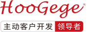 HOOGEGE虎哥哥全球营销数字化平台