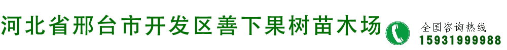 邢台经济开发区善下献军果树苗木场